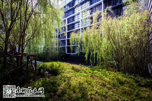 優(yōu)秀景觀工程設(shè)計欣賞6