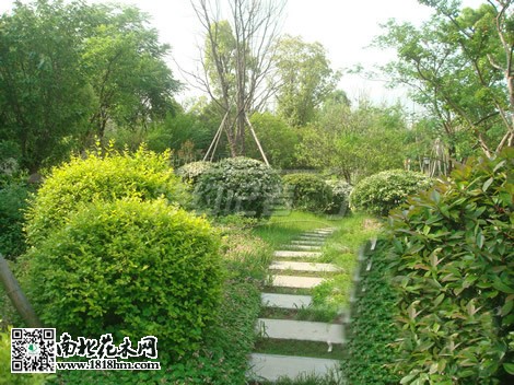 房市低迷促使開發(fā)商注重小區(qū)綠化建設(shè)2