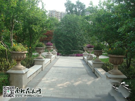 房市低迷促使開發(fā)商注重小區(qū)綠化建設(shè)4