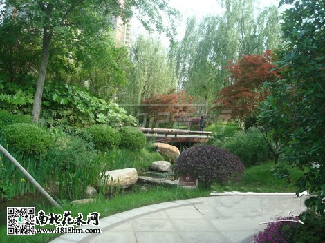 房市低迷促使開發(fā)商注重小區(qū)綠化建設(shè)5