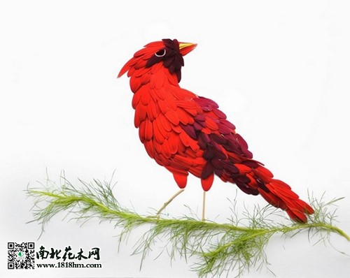 “花鳥”藝術(shù)品欣賞