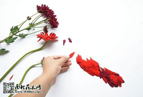 “花鳥”藝術(shù)品欣賞2
