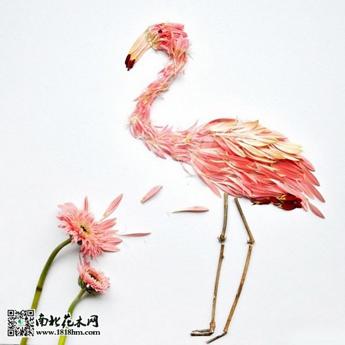 “花鳥”藝術(shù)品欣賞3