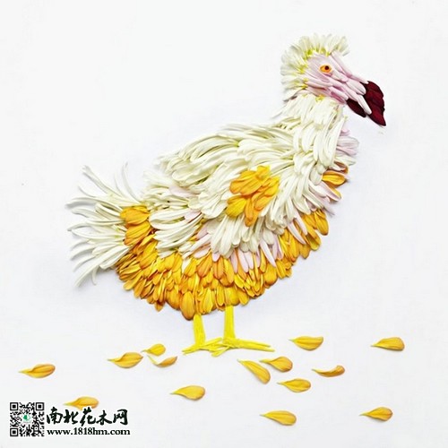 “花鳥”藝術(shù)品欣賞5