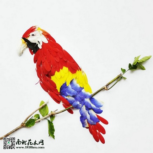 “花鳥”藝術(shù)品欣賞6
