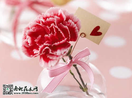 母親節(jié)送什么花好