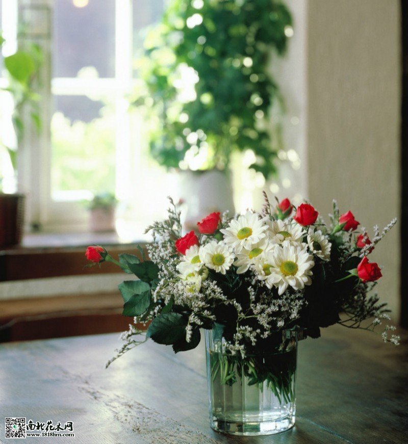室內(nèi)鮮花_meitu_1