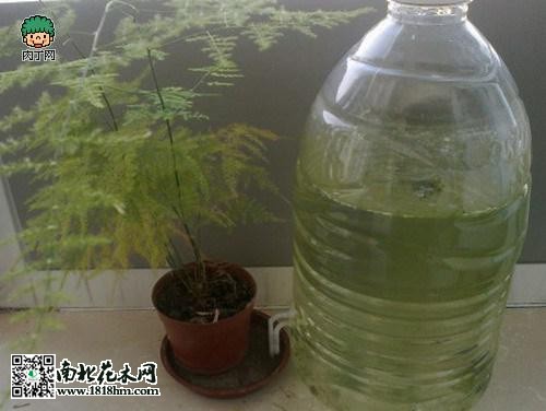 圖片3