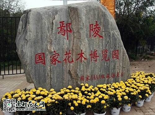 鄢陵國(guó)家花木博覽園