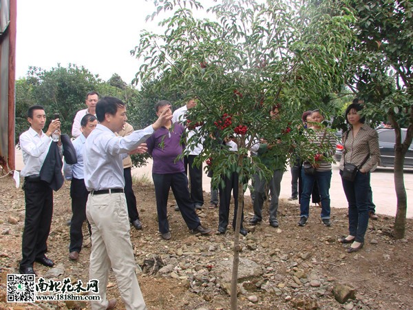 苗圃基地里的培訓(xùn)班