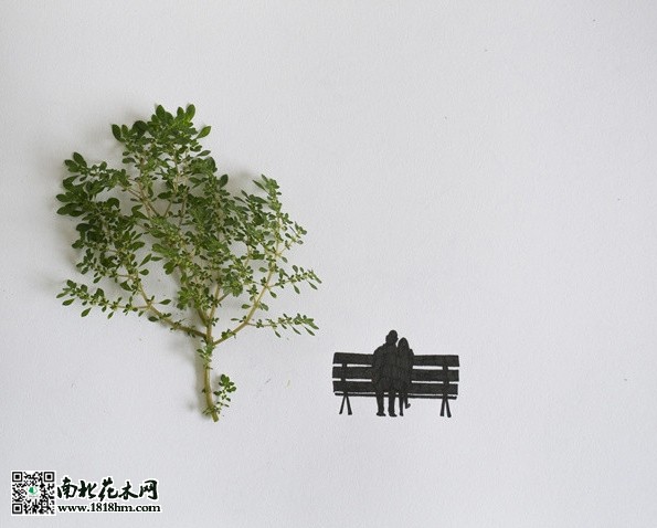 我能想到最浪漫的事，就是和你一起慢慢變老