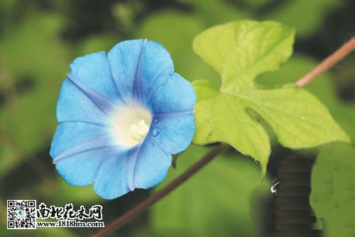 牽?；? /></p>
<p style=