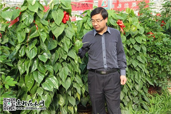 馬卿卓