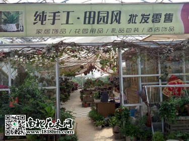 圖片7