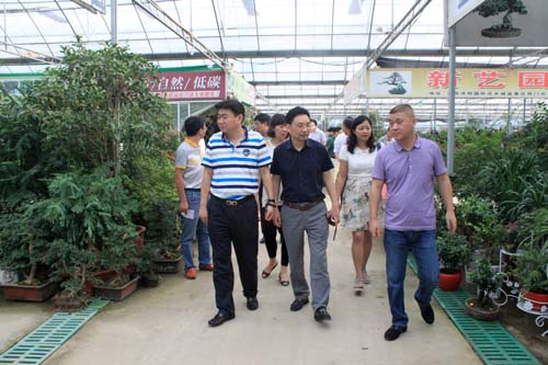 參觀沭陽國際花木城盆景區(qū)
