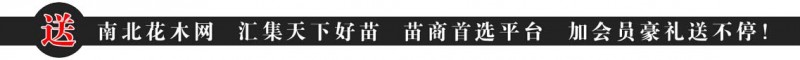QQ截圖20150827154022
