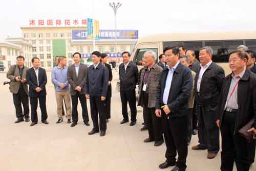 省委組織部副部莊同保視察沭陽(yáng)國(guó)際花木城