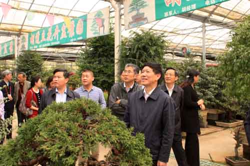 沭陽(yáng)國(guó)際花木城