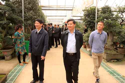 花木城總經(jīng)理劉攀峰
