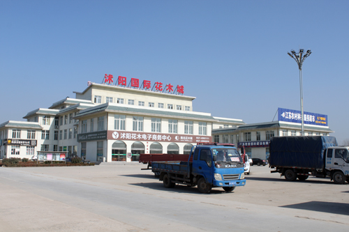沭陽(yáng)國(guó)際花木城