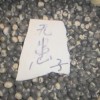 無患子種子供應(yīng)