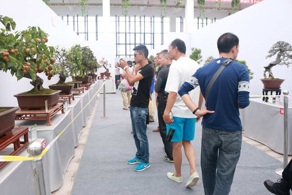 沭陽國際花木城園藝中心內(nèi)部展品1