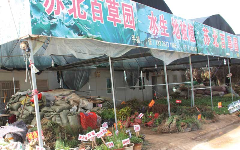 蘇北百草園