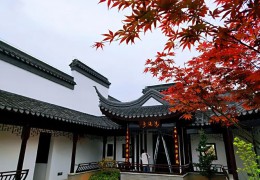 沭陽縣寓農(nóng)于樂推動休閑農(nóng)旅強(qiáng)農(nóng)富農(nóng)