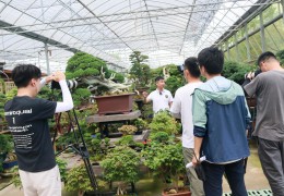 江蘇省廣播電視總臺走進沭陽國際花木城取景