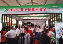 沭陽縣扎下鎮(zhèn)花木協(xié)會(huì)