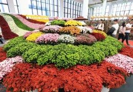 沭陽縣花木協(xié)會(huì)