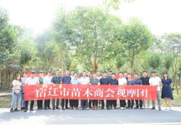 宿遷市苗木商會(huì)