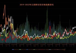 后疫情下巨變的花卉行情 | 2022全國花卉產(chǎn)銷形式分析會