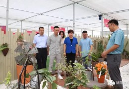 沭陽縣花木電商協(xié)會(huì)
