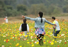 體驗經(jīng)濟(jì)背景下的休閑農(nóng)業(yè)發(fā)展策略