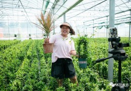 央視關(guān)注沭陽！“美麗經(jīng)濟(jì)”振興鄉(xiāng)村！