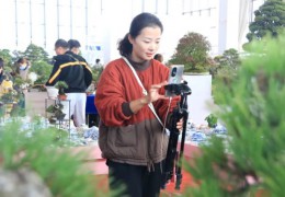 [中國(guó)江蘇網(wǎng)]宿遷沭陽：全鏈條式培訓(xùn)破解電商創(chuàng)業(yè)“流量密碼”