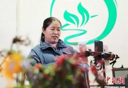 江蘇沭陽依托直播推動花木消費(fèi)—花木上“云”香萬家