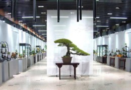 久違！開年第一展，開啟新篇章