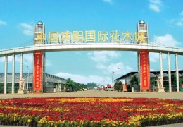 【活動招商】2023第十屆沭陽花木節(jié)苗木盆景資材展銷會將于9月底舉辦！